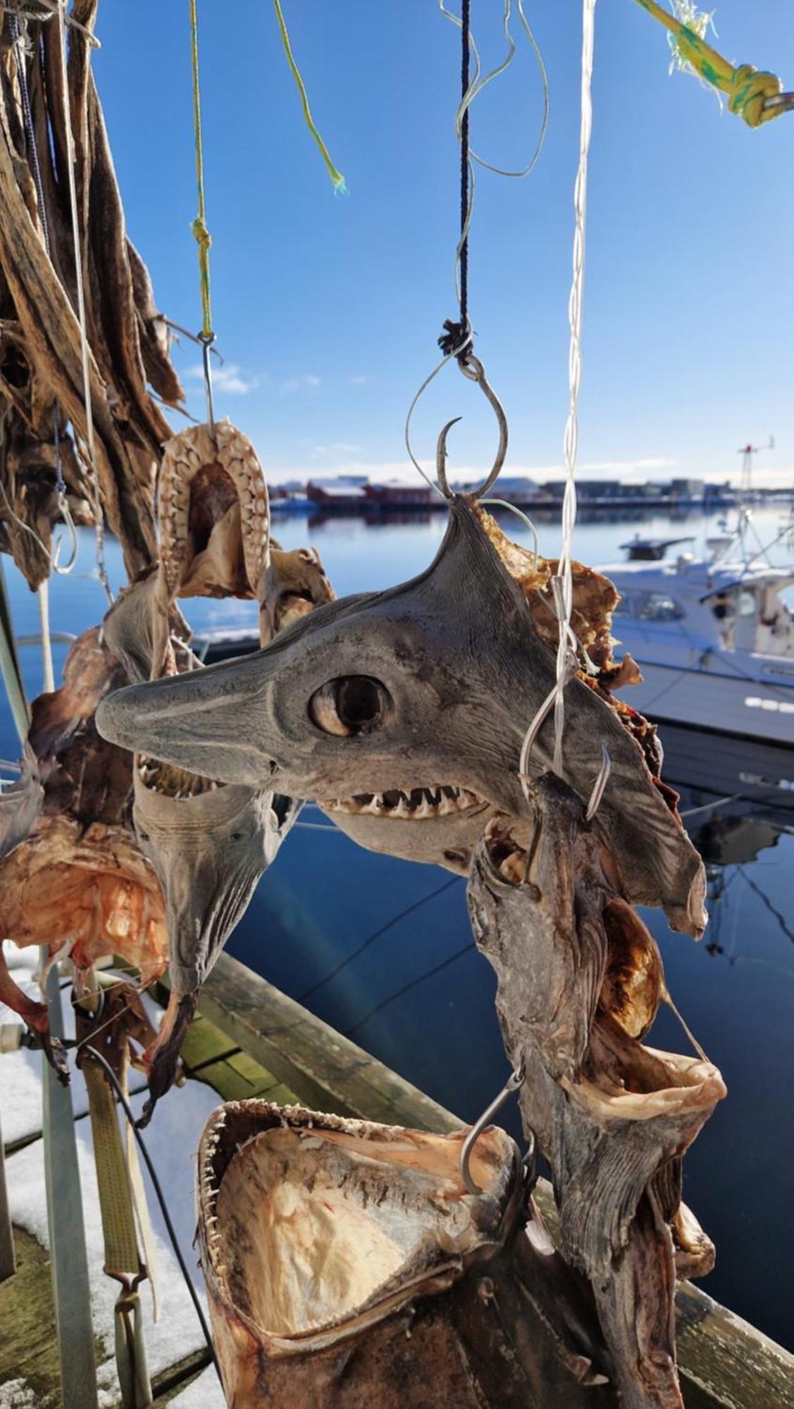 Bensvik Brygge Lägenhet Vaeroy Exteriör bild